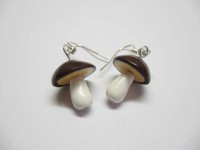 /album/nausnice/fimo-hribky-nausky-jpg/